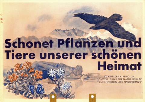 Naturschutzplakat des Schweizerischen Bunds für Naturschutz.
