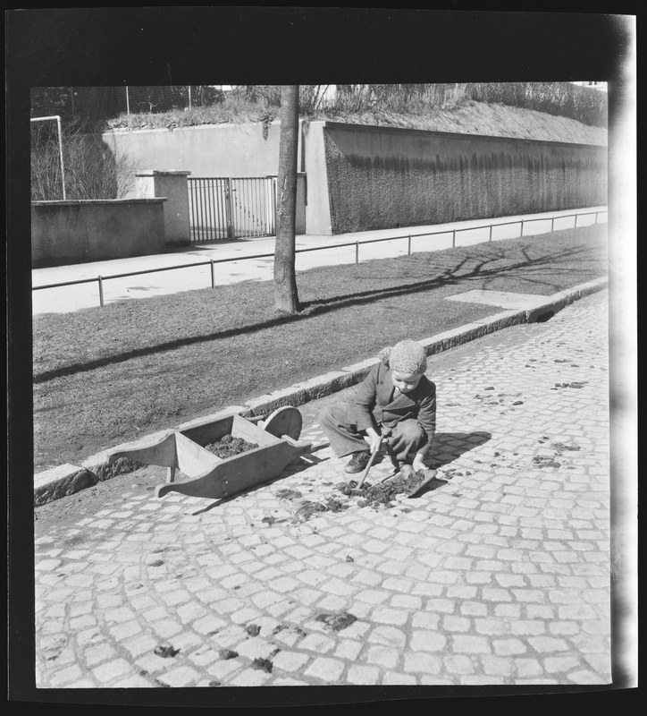 Fredy sammelt Rossmist, 2. April 1942. N Eugen Thierstein 378/13. Vergrösserte Ansicht