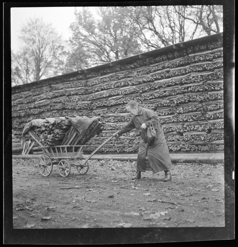 Ältere Frau transportiert Holz ab, das sie von der Gemeinde erhalten hat, 14. November 1943. N Eugen Thierstein 448/70. Vergrösserte Ansicht